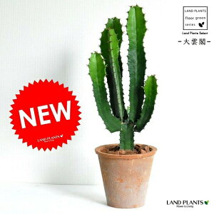 T{ei_tF_CEJNj F X|bg g[ Eh^ JN^X  A T{e_CEJN eRb^ f  uE IW  ϗtA ϗt 