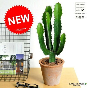 T{ei_tF_CEJNj F X|bg g[ Eh^ JN^X  A T{e_CEJN eRb^ f  uE IW  ϗtA ϗt 