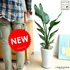 I[KX^ijRCj F ی^ X픫 Xg`AjRC@@C@V̔@hV̓@|Cg@ϗtA