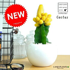 楽天市場 電磁波 植物の通販