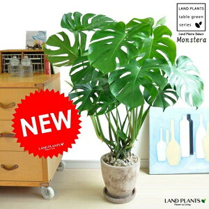 Xe F GbO^ Eh 픫iVR΁FFj A   eRb^ f  F uE  ϗtA ϗt ^ 