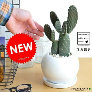 T{einGXqFX~G{Vj 2F } F ی^ 픫 RpNgET{eEZEXET{eEoUCT{eEJN^XEC4JN^XEnXq@hV̓@|Cg