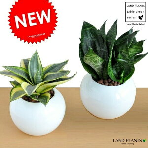 yI2z TXxA F ی^ 픫ynCh{[EMEĕzTZxA C inj[S[hEnj[j Ղ̔ g̔ gmI  A  c c ֖ 