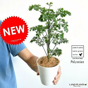 NEW!!@|VXio^tCj@vX`bNZbg@4TCY@^C~WE|VXE{VXE{VX@cEc؁EEA@|CgEϗtAEAE