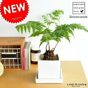 NEW!!@S[fL[@FXNGA픫A@^Jr@S[f`E`EEы(LER)Eni^JrjErr(qcWV_)@EAEcEc؁EV_