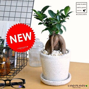 風水 黄色 Diy 工具の人気商品 通販 価格比較 価格 Com