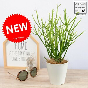 yz ~NubV 4 F vX`bN A  ϗtA VR  c c zCg v A ~hTS ΎX AITS X