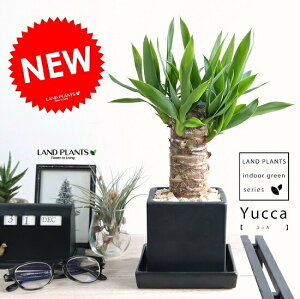 hZi bJ (N̖) F L[u 픫 E[c hZibJ bJ A  lp XNGA ubN DF O[ lY~  RP ϗtA ZW 