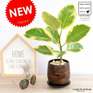 AeV[} Ebh yCg 픫 STCY yVRӐ΁EMz AeBV} oGK[^  Ft  A  F uE ؖ