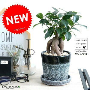 KW} N[^H iF×Fj ֖򓩊픫 K炷 K̎  ܂̖ A  ubN zCg DF c  ϗtA   o