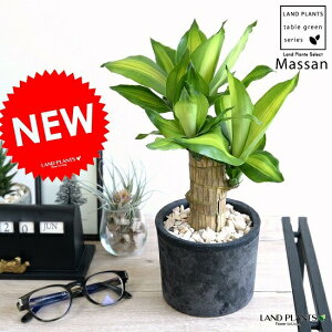 hZii}bTj F X|bg V_[^ eRb^ yVRӐ΁Eĕz}bTQAi }bTMAi E[c A  f  c c ubN  D O