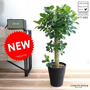 KW} ipdāj F ZA[g ̑ K炷 삪Zޖ ^  A    ubN ϗtA }[V