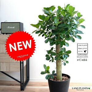 KW} ipdāj F ZA[g ̑ K炷 삪Zޖ ^  A    ubN ϗtA {NV^e }[V