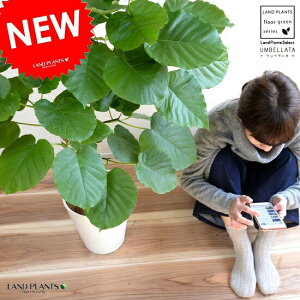 Ex[^ F ZA[g 8 iR`j A ^ ϗtA yMtgzz8 