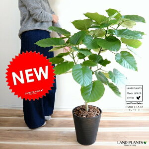 Ex[^iR`j F ZA[g 8 A ^ ϗtA yMtgzz8   ubN 