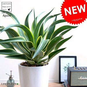 AKx (xlYG) F g[ 픫 (X^) A   zCg  ^ ϗtA  AG E[c JtHjA 㗖 AKy AKF