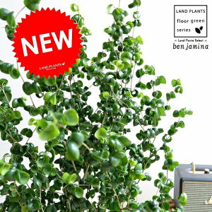 xW~ iobNj 8 F ZA[g A  c c ^ ϗtA  zCg Eh  