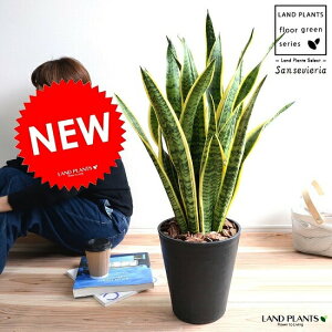 TZxA i[eB[j F ZA[g 8 A ^  c c TXxA  ubN Eh  ϗtA 