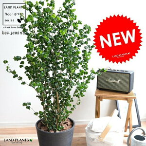 xW~ obN iFj ZA[g 8 A  c c ^ ϗtA  ubN Eh  