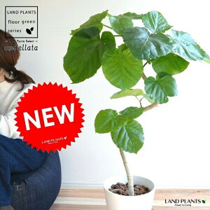 Ex[^i3DJ[uȂj 8 F ZA[g yo[N`bvEMEĕz ϗt ϗtA ^ A  c c A A  zCg  Eh v vX`bN