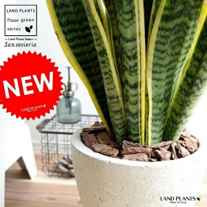 TXxA i[eB[j GbO^ Eh픫 N[F A ^  c c TZxA  zCg ItzCg Eh  ϗtA 