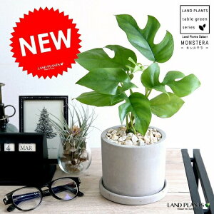 qXe Zg V_[^ 픫 Ac c ~jXe ϗtA D O[ ˂ RN[g  zCg 