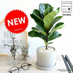 JVoS Zg V_[^ 픫 tBJX [^ A  c c ϗtA  DF D O[ ˂  Eh