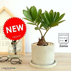 U~A iv~j Zg V_[^ 픫 1 yVRӐ΁EMz qnU~AELVR\ec@ϗtA A  c c Ȃ D DF O[ ˂  Eh