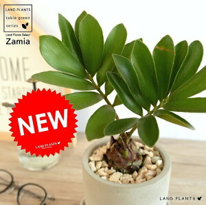 U~A iv~j Zg V_[^ 픫 1 yVRӐ΁EMz qnU~AELVR\ec@ϗtA A  c c Ȃ D DF O[ ˂  Eh