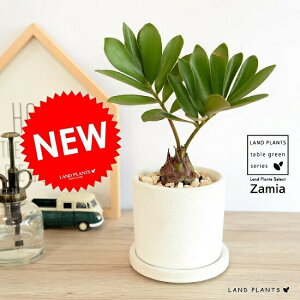 U~A iv~j F V_[^ 픫 qnU~AELVR\ec@ϗtA A  c c Ȃ  zCg N[  Eh