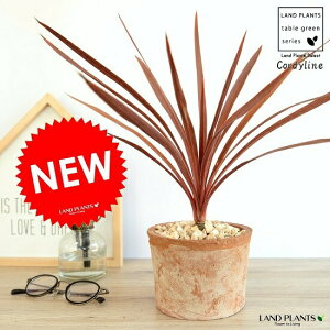 RfBlibhX^[j F X|bg V_[ 픫 A  c c  eRb^ ی`  uE IW F   RP ϗtA oRjXg