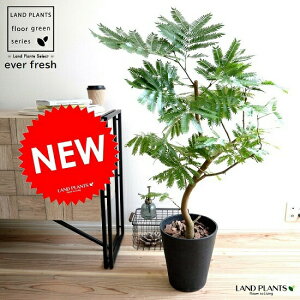 Go[tbV F ZA[g 8 A  c c ^ ϗtA   ubN  Eh v AJTlmL