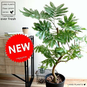 Go[tbV F ZA[g 8 A  c c ^ ϗtA   ubN  Eh v AJTlmL