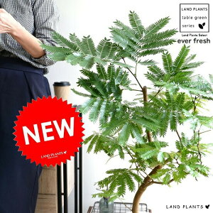 Go[tbV 8 ZA[g iFj A  c c ^ ϗtA   zCg  Eh v AJTlmL