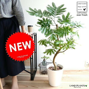 Go[tbV 8 zCg ZA[g A  c c ^ ϗtA   F  Eh v AJTlmL