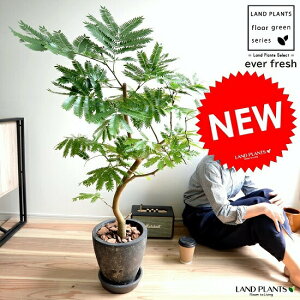 エバーフレッシュ 大型 Diy 工具の人気商品 通販 価格比較 価格 Com