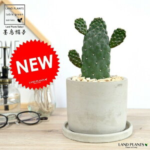 y󏭁z T{e X~G{V 1Fi~joUCj Zg V_[^ 픫 JN^X A  c c ϗtADF D O[ ˂  Eh A 