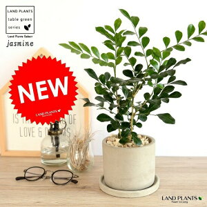 VNWX~iQbLcj Zg V_[^ 픫 yVRӐ΁EMEĕz  Ԃ炭 VN WX~ k IWWX~ CkcQ RXeBbNo[N 