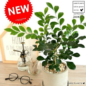 VNWX~iQbLcj Zg V_[^ 픫 yVRӐ΁EMEĕz  Ԃ炭 VN WX~ k IWWX~ CkcQ RXeBbNo[N 