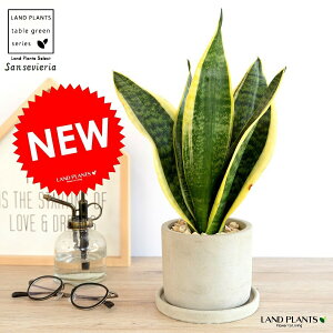 TXxA i[`FV[gj Zg V_[^ 픫yVRӐ΁EMEĕz A  c c Ȃ ϗtA [eB [eB[ D DF O[ ˂ 