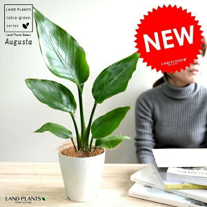 yz@I[KX^ 4 F vX`bN Xg`A jRC Xg`A V̔ A c c ϗtA  zCg  Eh