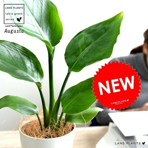 yz@I[KX^ F vX`bN 4 Xg`A jRC Xg`A V̔ A c c ϗtA  zCg  Eh