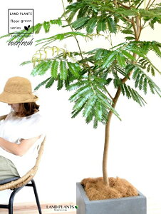 Go[tbViR`j 10 t@Co[ L[u^ 픫 DF yRRt@Co[EvMEĕz  A Aؔ  퐻 ˂ނ̖ lmL Go[ AJTlmL 