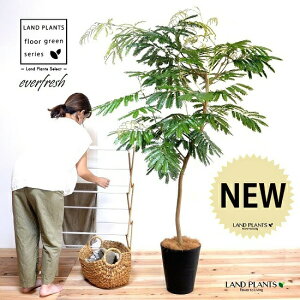 Go[tbViR`j 10 ZA[g F yRRt@Co[EMEĕz  A Aؔ vX`bN v ˂ނ̖ lmL Go[ AJTlmL  ubN 