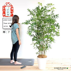 iMF 10 ZA[g F yRRt@Co[EvMEĕz iM̖ iMmL  FOR _  A c c v 10  ^ ϗtA A   Ȃ  zCg 