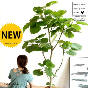 Ex[^iR`j 10 ZA[g F yRRt@Co[EvMEĕz  A Aؔ v vX`bN SmL S̖ S E_x[^ Ex[^  z