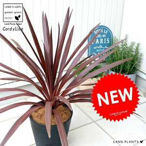 RfBlibhX^[j ZA[g 8 F A RWl ^ c c ϗtA   ubN  Eh hZi Zl{N