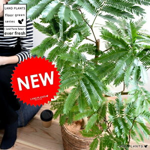 Go[tbV iFj oii[t oXPbg A  c c ^ ϗtA   uE   Eh v AJTlmL