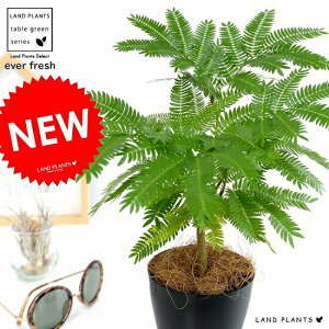 yzy󏭁z Go[tbV 4 FvX`bN iubNj A  c c ϗtA1 lmL v  ubN Eh  ی` ۔