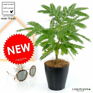 y󏭁zyz Go[tbV F vX`bN 4 A  c c ϗtA1 lmL v  ubN Eh  ی` ۔